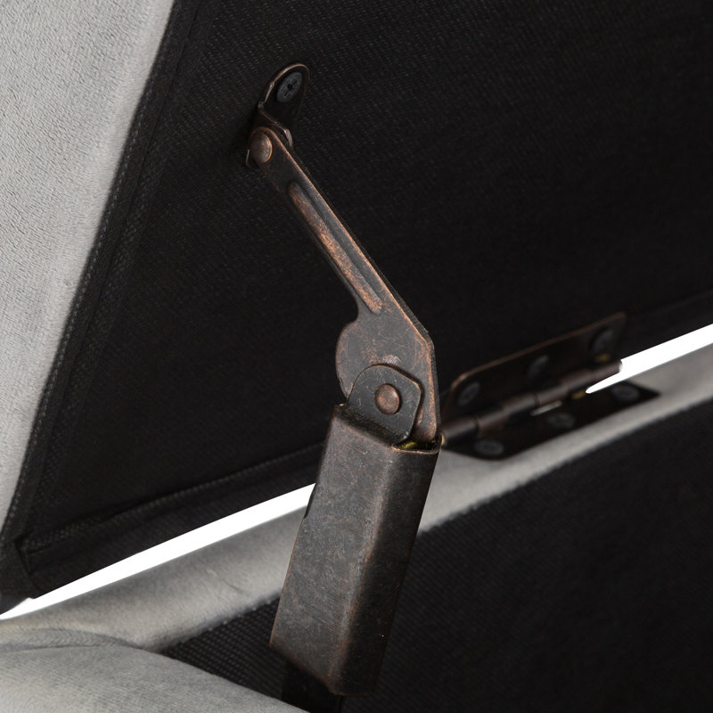 Etta Avenue™ Noa 46.5" Wide Velvet Flip Top Storage Bench & Reviews